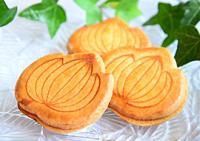 アオギリ　10枚入り(八朔5枚・レモン5枚)