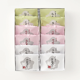 生もみじ12個入