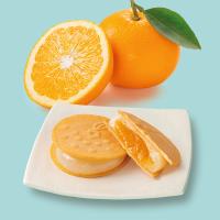 瀬戸内の八朔　せとこまち